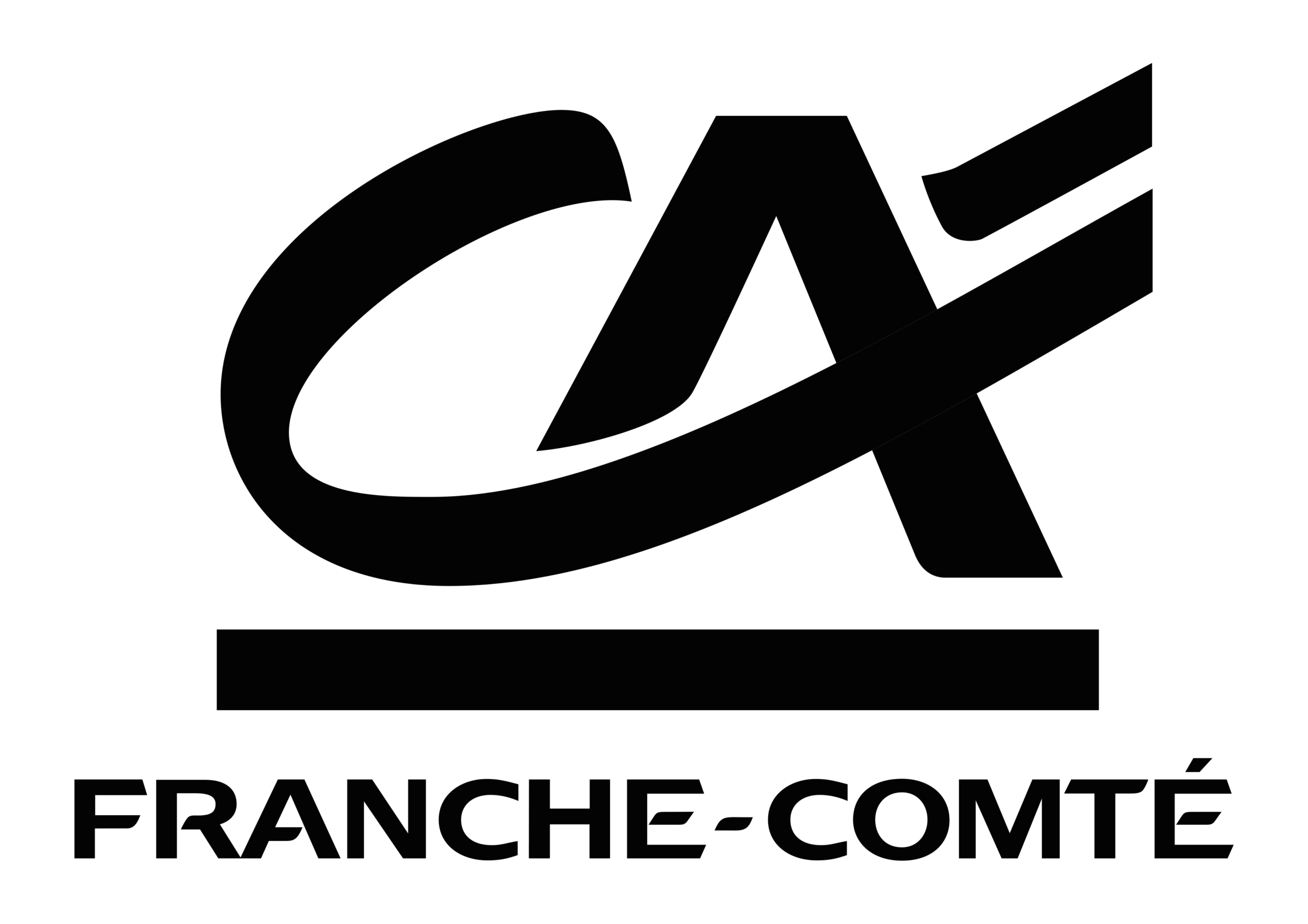 LOGO CREDIT