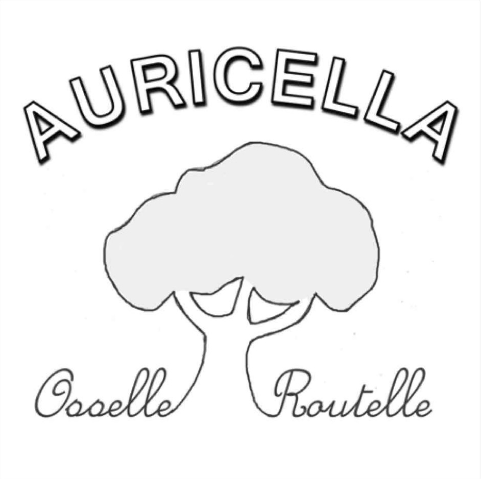 image-1467113-20201201-ob_0c7c58_logoauricella